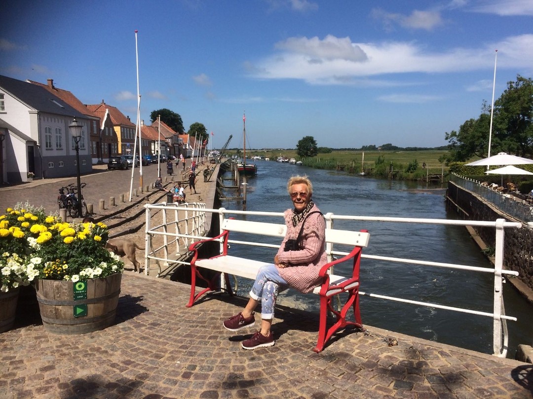 Ribe centrum