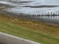 Wadden vanaf snelweg