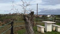 VID_20181125_102914