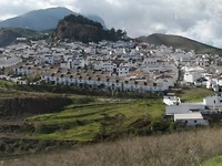 IMG_20181130_120938
