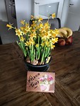 IMG_20190325_171013