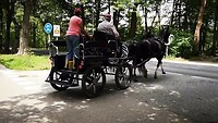 VID_20200614_133213