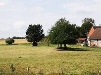 IMG_20200815_133017