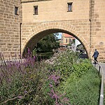 IMG-20200819-WA0004