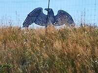 IMG_20200820_123131