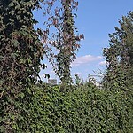 IMG-20200820-WA0001