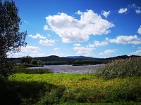 IMG_20200826_134635