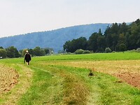 IMG_20200903_153648