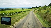 VID_20210819_141753