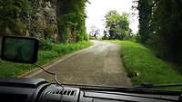 VID_20210819_141306