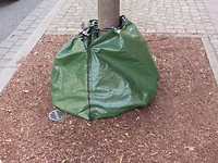 Stadje Wolfenbüttel und Rosenfest!
