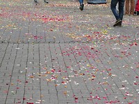Stadje Wolfenbüttel und Rosenfest!