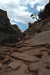 Canyon Overlook Trail