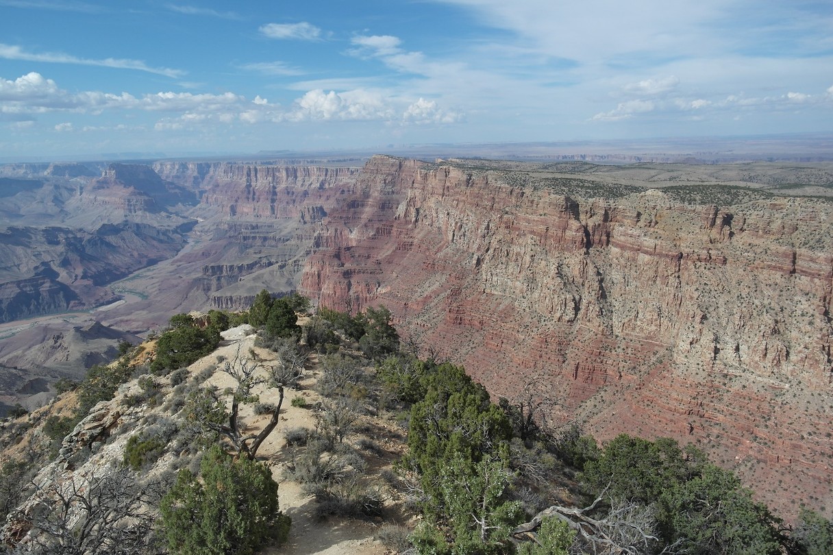 Desert View