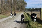 IMG_3390