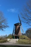 IMG_3418