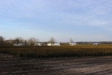 IMG_3442