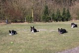 IMG_3473