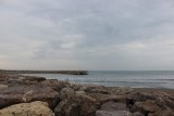 IMG_2684