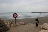 IMG_2685