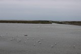 IMG_2689