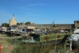 IMG_2727