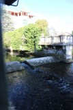IMG_2736