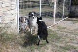 IMG_2756