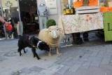 IMG_2765