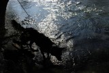 IMG_2785