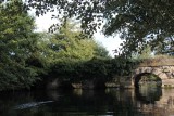 IMG_2801