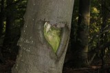 IMG_2887