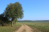 IMG_2879