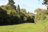 IMG_2890