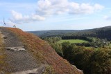 IMG_2908