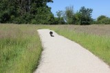 IMG_3943