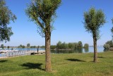 IMG_3951
