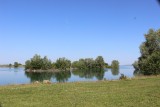 IMG_3952