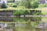 IMG_4039