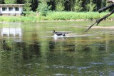 IMG_4056