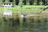 IMG_4057