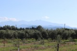 IMG_4313