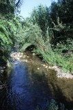 IMG_4316