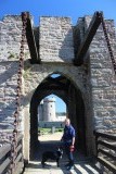 IMG_4750