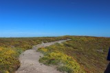 IMG_4804