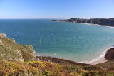 IMG_4810