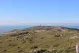 IMG_4921