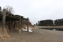 IMG_5164