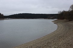 IMG_5167