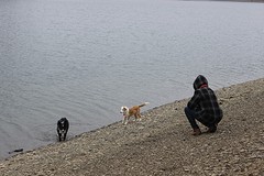 IMG_5169